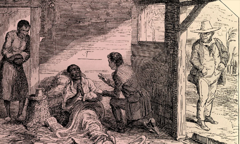 هریت بیچر استو و تأسیس ادبیات ضد برده‌داری