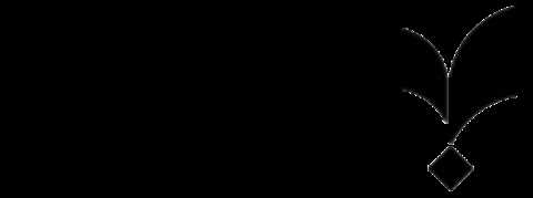 پارسیک