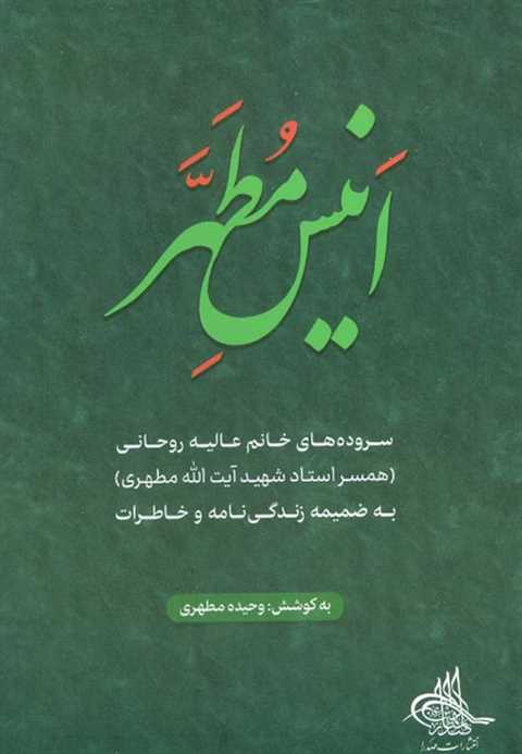 انیس مطهر