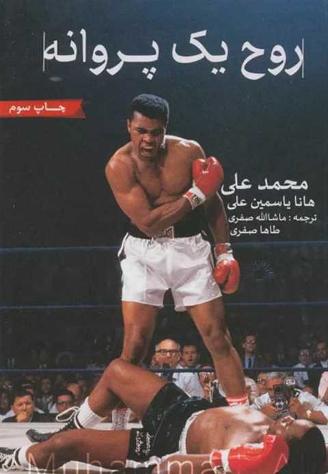 روح یک پروانه
