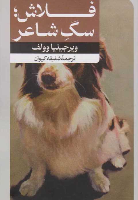 فلاش سگ شاعر‏‫