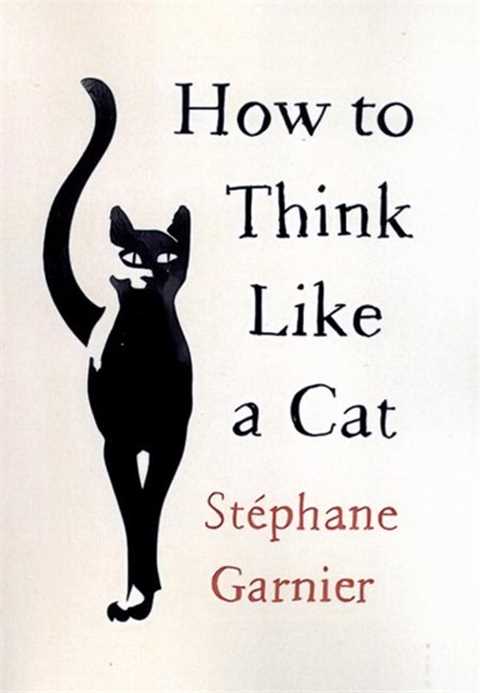 How to Think Like a Cat