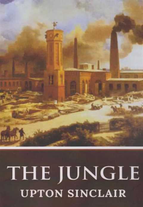 The Jungle