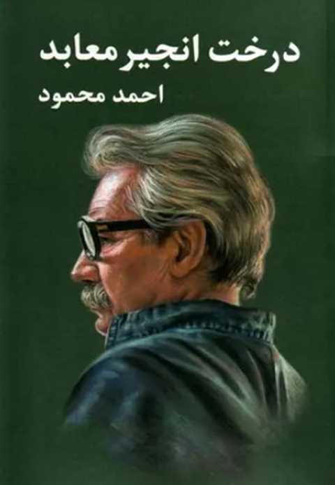 درخت انجیر معابد (۲ جلدی)